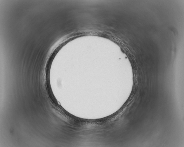 X0000111610246200908281057