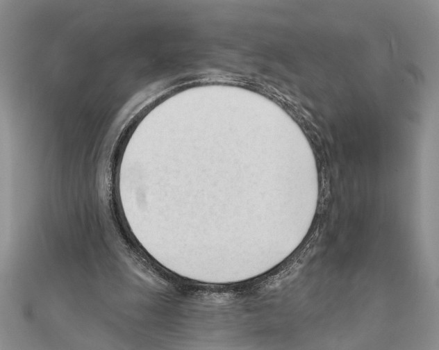 X0000111610247200908281057