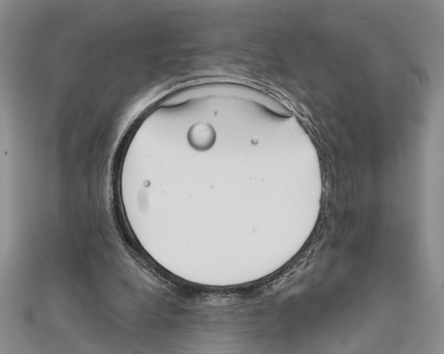 X0000111610248200908281057