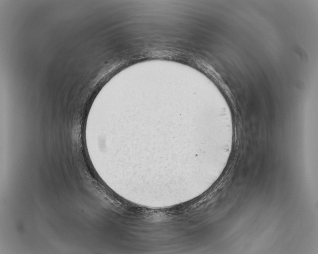 X0000111610249200908281057