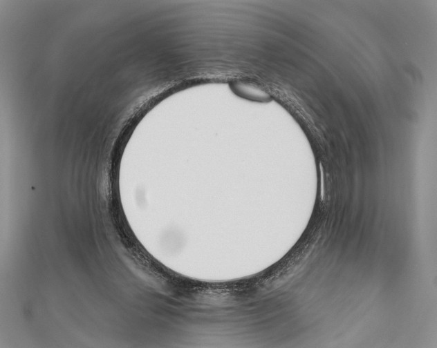 X0000111610252200908281057