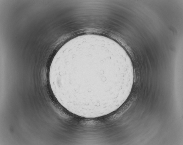 X0000111610253200908281057