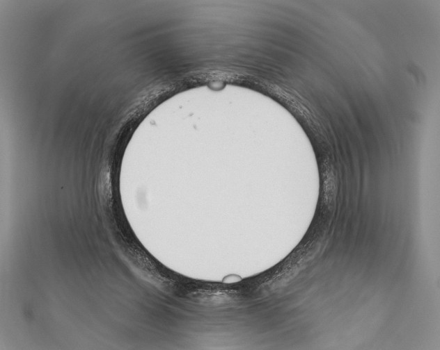 X0000111610254200908281057