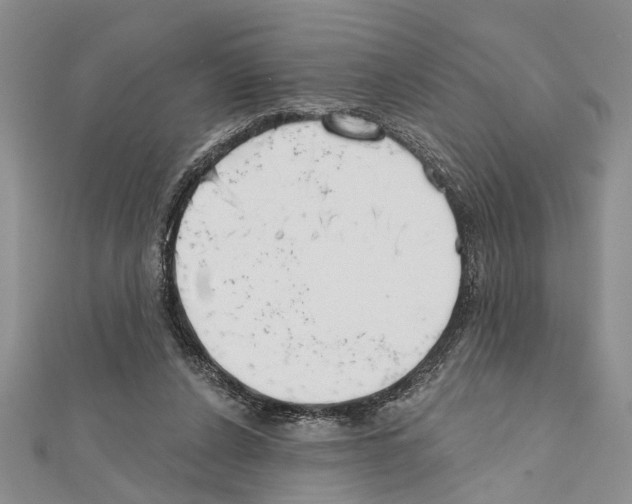 X0000111610256200908281057
