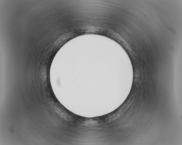 X0000111610257200908281057
