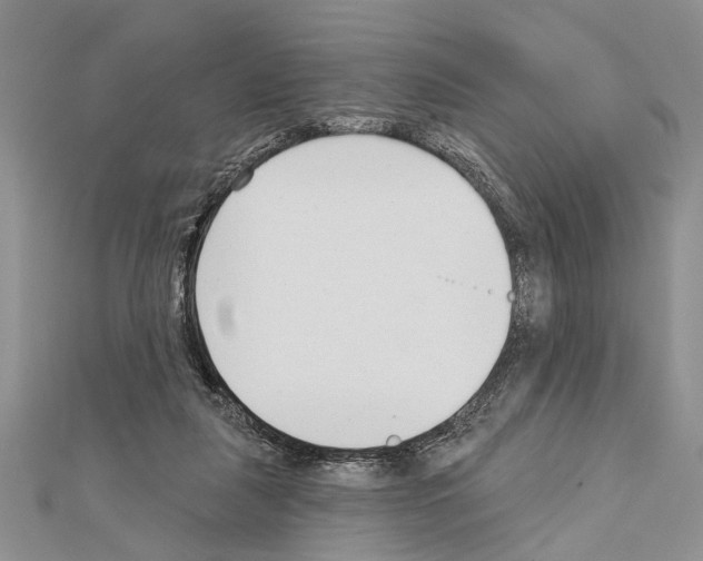 X0000111610259200908281057