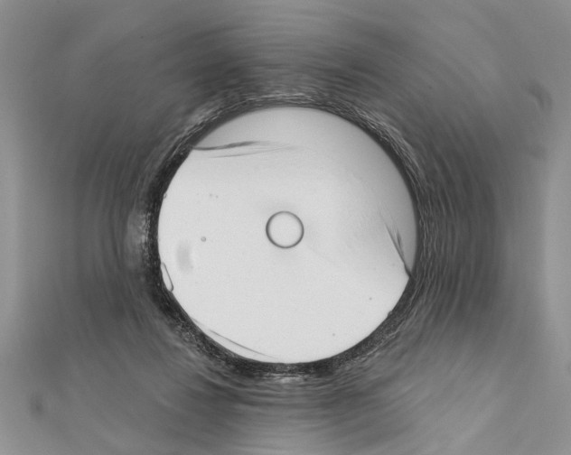 X0000111610260200908281057