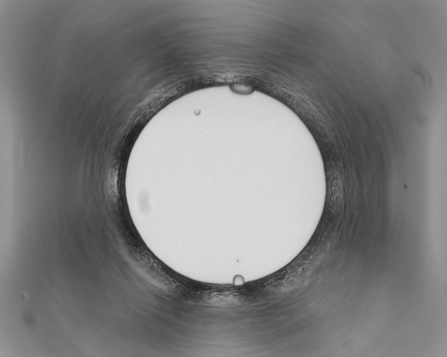 X0000111610262200908281057