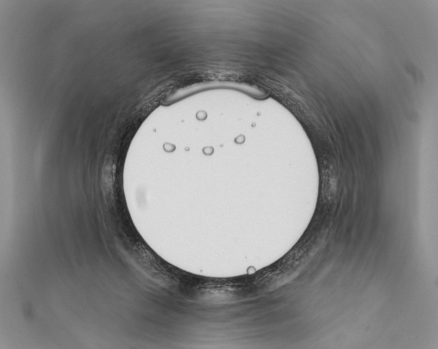X0000111610263200908281057