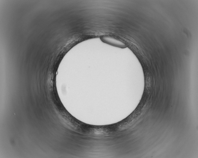 X0000111610264200908281057