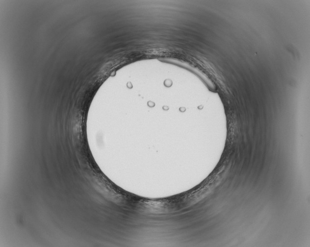 X0000111610265200908281057