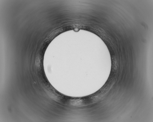 X0000111610266200908281057