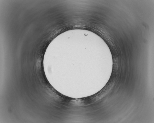 X0000111610269200908281057
