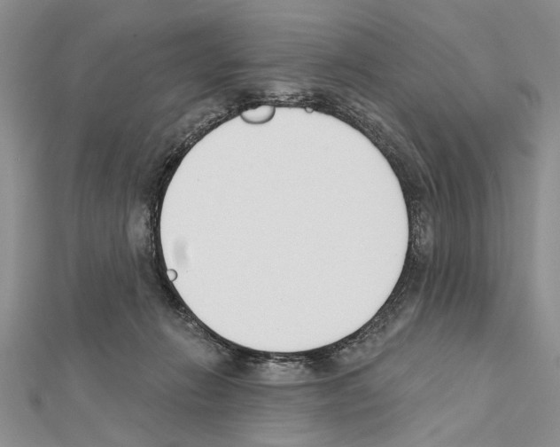 X0000111610270200908281057