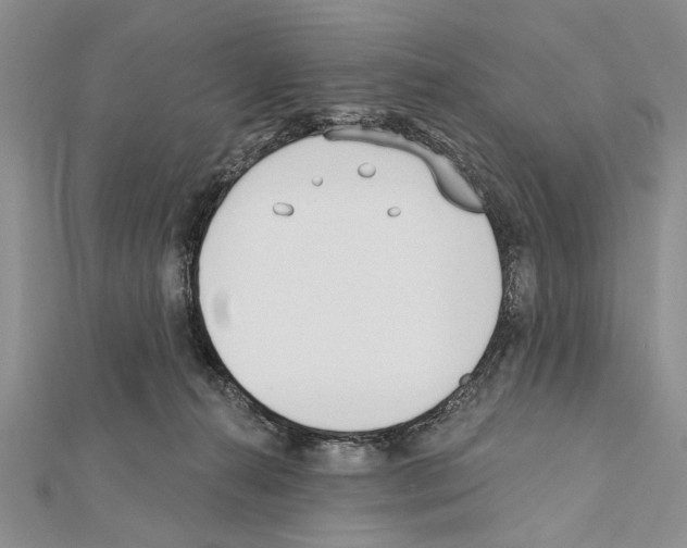 X0000111610272200908281057