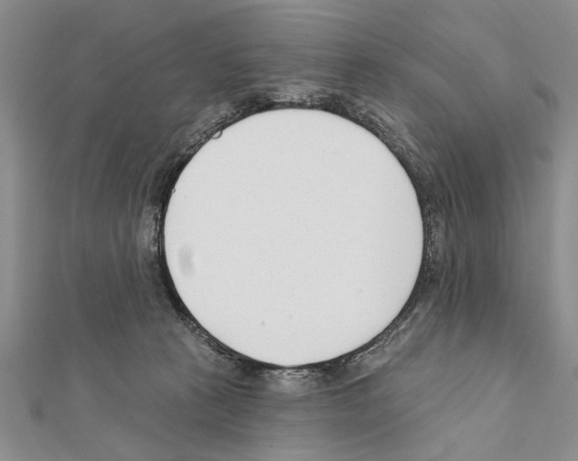 X0000111610273200908281057