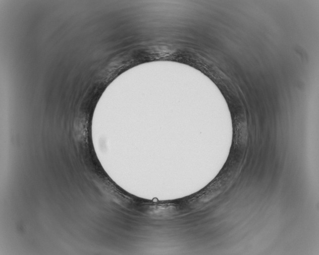 X0000111610274200908281057
