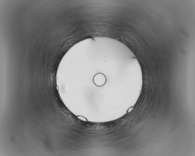 X0000111610276200908281057