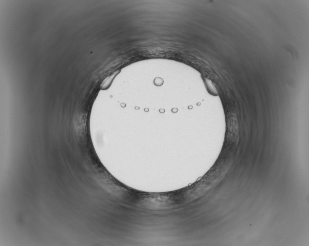 X0000111610278200908281057