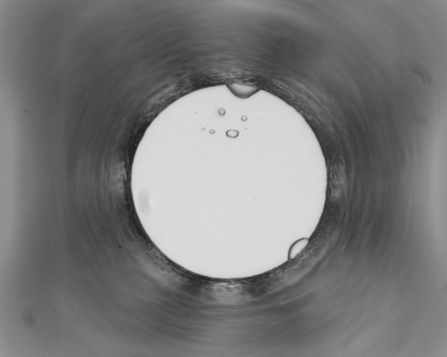 X0000111610279200908281057