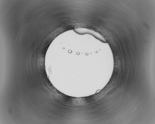 X0000111610281200908281057