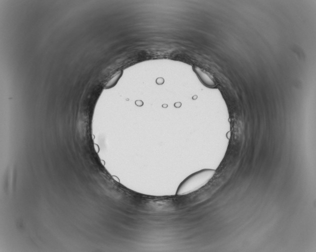 X0000111610283200908281057