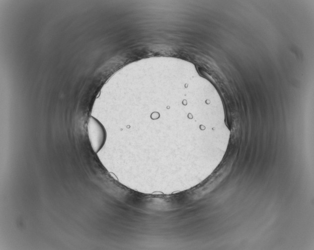 X0000111610285200908281057
