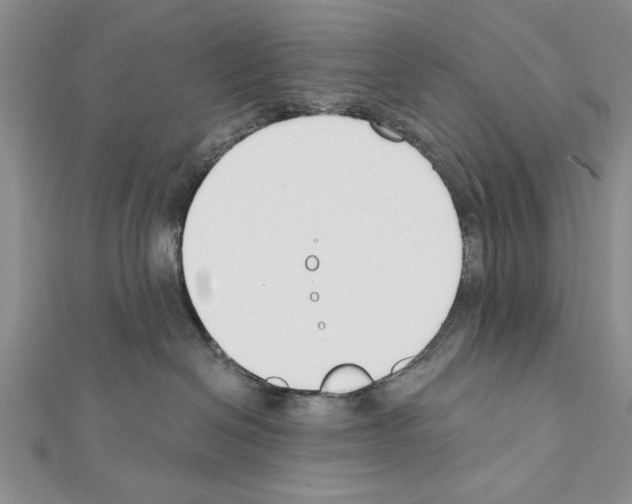 X0000111610286200908281057
