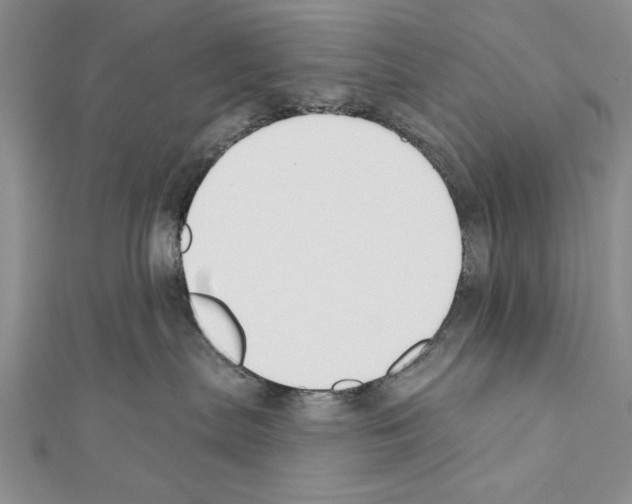 X0000111610287200908281057