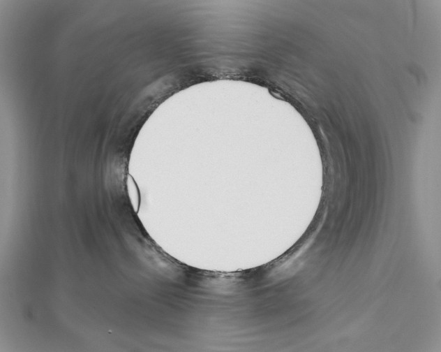 X0000111610288200908281057