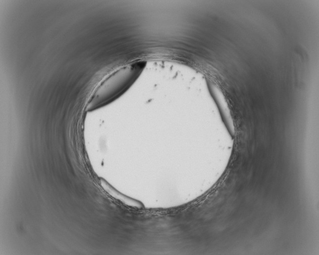 X0000111610289200908281057