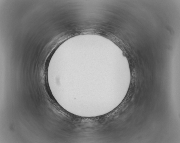 X0000111610290200908281057