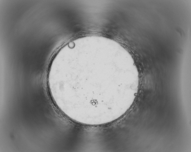 X0000111610293200908281057