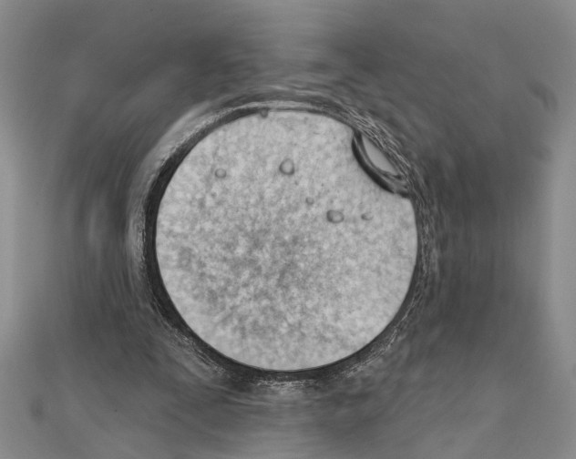 X0000111610295200908281057