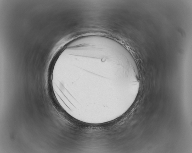 X0000111610296200908281057
