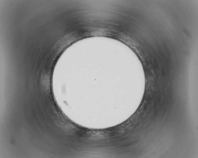 X0000111610297200908281057