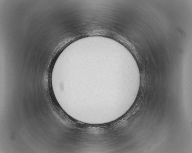 X0000111610298200908281057