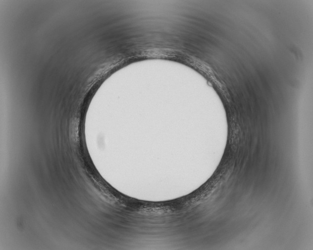 X0000111610299200908281057