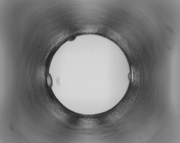 X0000111610300200908281057