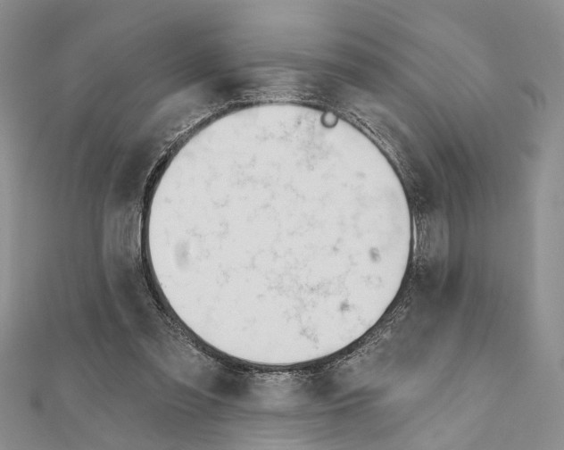 X0000111610301200908281057
