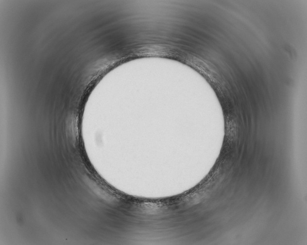 X0000111610302200908281057