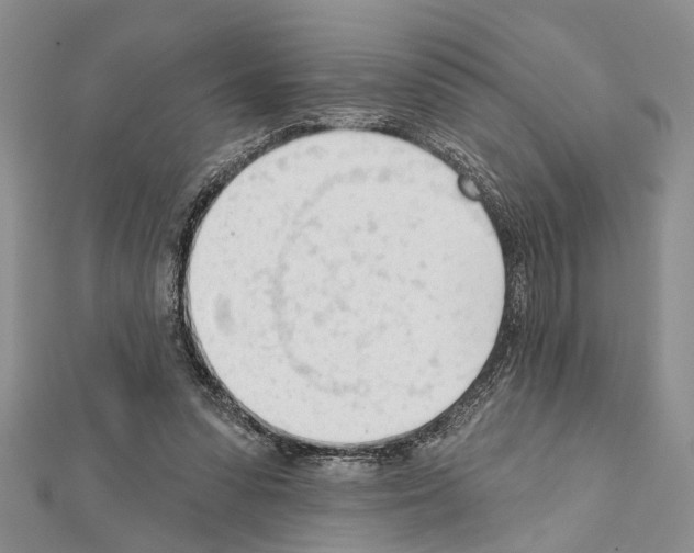 X0000111610303200908281057