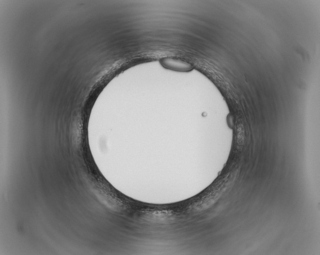X0000111610304200908281057