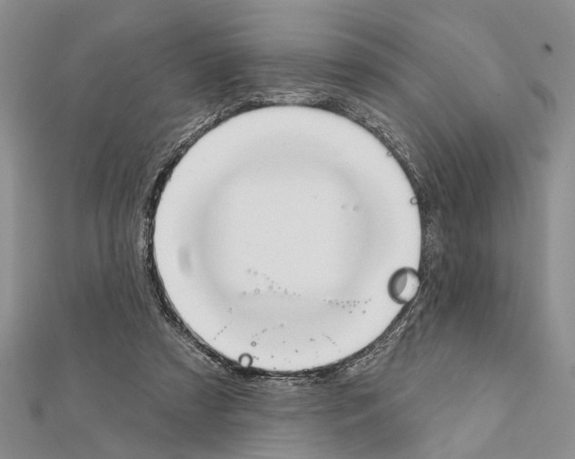 X0000111610305200908281057