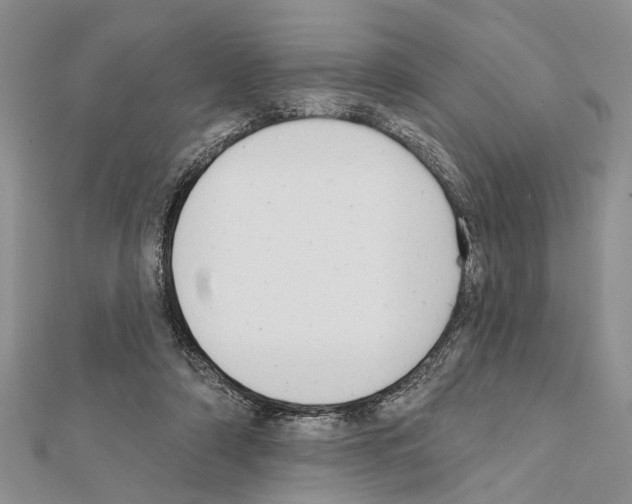 X0000111610306200908281057