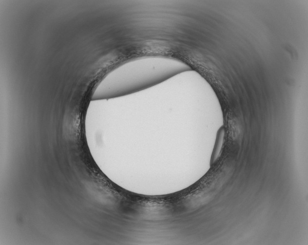 X0000111610308200908281057