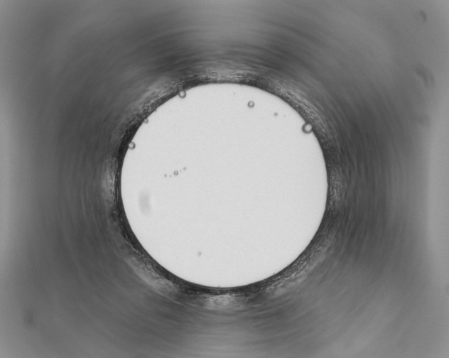 X0000111610309200908281057