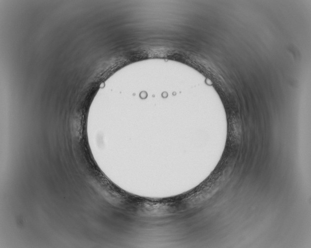 X0000111610311200908281057