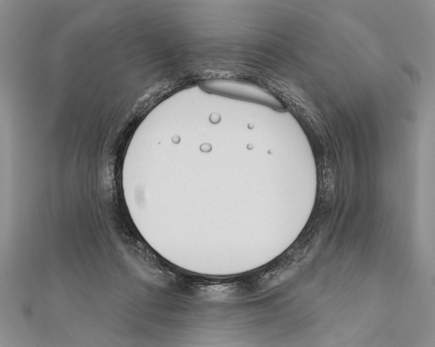 X0000111610312200908281056