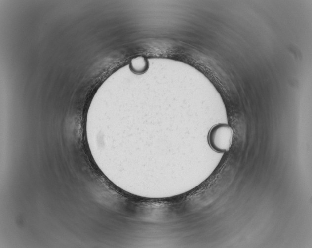 X0000111610313200908281056